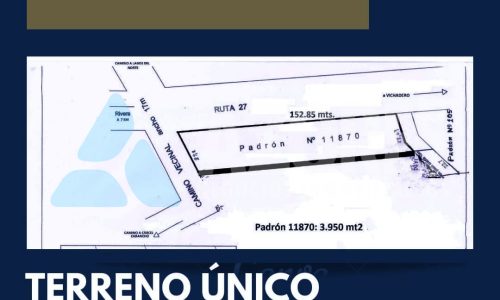 Fotos y Videos del Redmi 10 2081