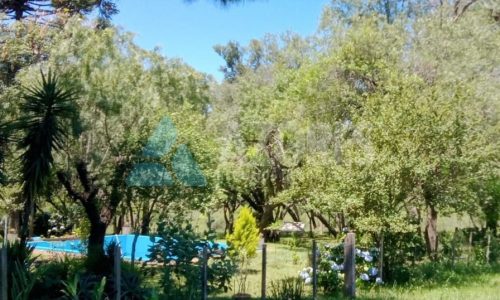 WhatsApp Image 2025-06-07 at 14.41.13 (3)