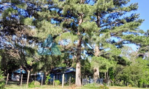 WhatsApp Image 2025-06-07 at 14.41.13