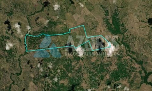 WhatsApp Image 2025-06-07 at 14.43.35