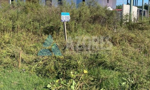 WhatsApp Image 2025-06-07 at 14.53.05