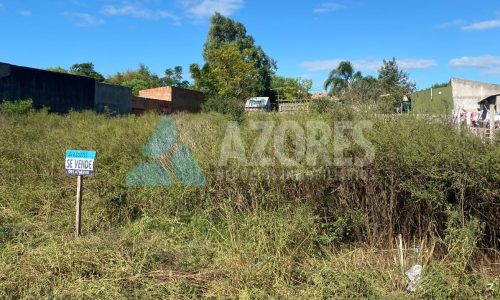 WhatsApp Image 2025-06-07 at 14.53.06