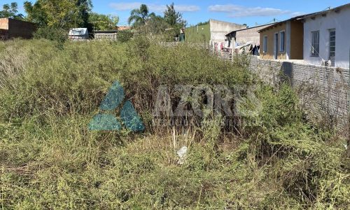 WhatsApp Image 2025-06-07 at 14.53.08