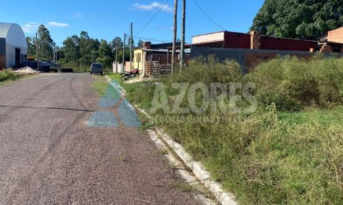 WhatsApp Image 2025-06-07 at 14.53.09