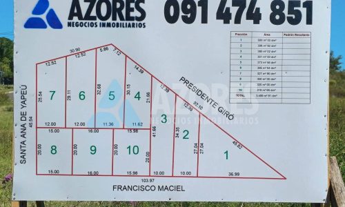 WhatsApp Image 2025-06-10 at 14.50.47