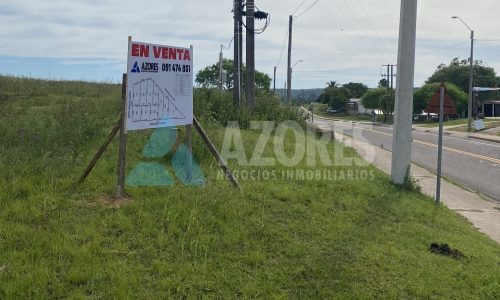 WhatsApp Image 2025-06-10 at 14.50.51