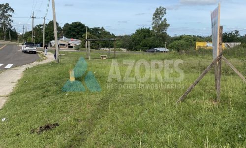 WhatsApp Image 2025-06-10 at 14.50.52