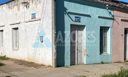 WhatsApp Image 2025-06-10 at 14.53.35