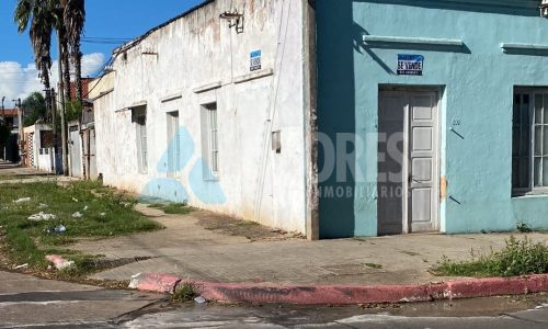 WhatsApp Image 2025-06-10 at 14.53.36