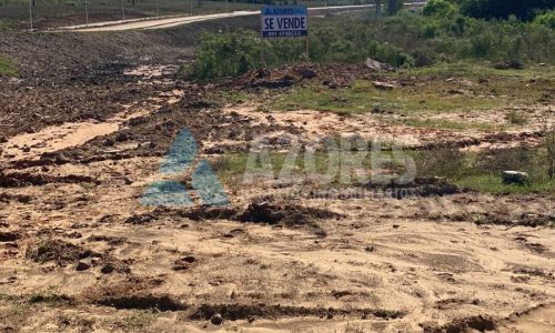 WhatsApp Image 2025-08-01 at 14.36.06 (1)