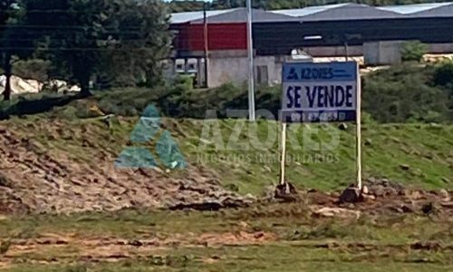 WhatsApp Image 2025-08-01 at 14.36.06