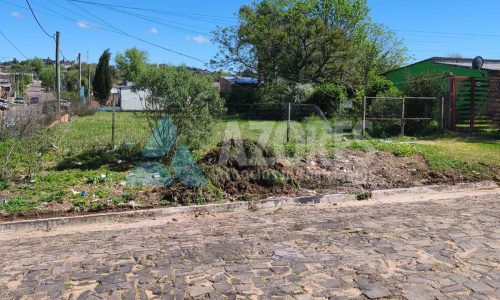 WhatsApp Image 2025-09-24 at 11.20.02