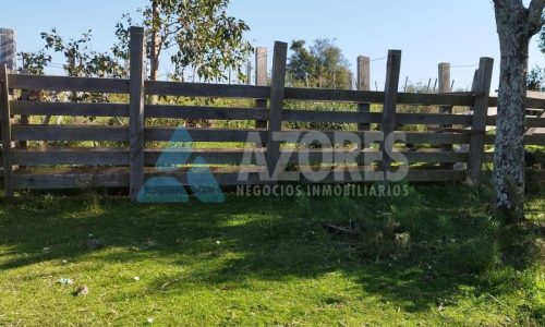 WhatsApp Image 2025-09-24 at 11.26.24 (1)