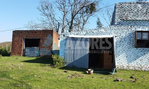 WhatsApp Image 2025-09-24 at 11.26.24