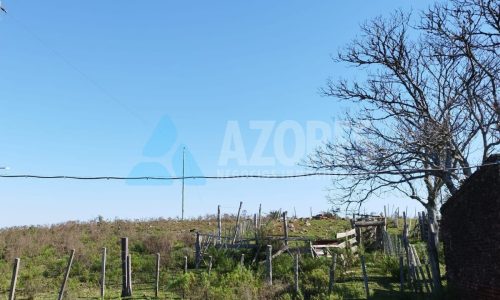 WhatsApp Image 2025-09-24 at 11.26.25 (2)