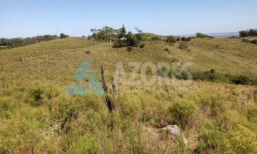 WhatsApp Image 2025-09-24 at 11.26.47