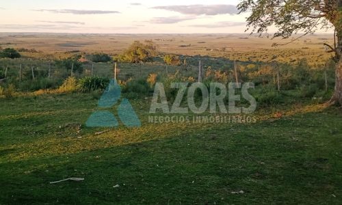 WhatsApp Image 2025-09-24 at 11.26.48