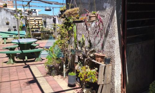 WhatsApp Image 2025-10-24 at 10.29.53 (2)