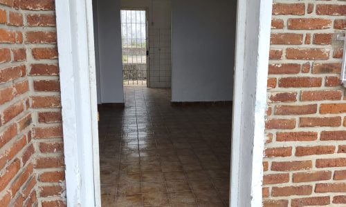 WhatsApp Image 2026-01-20 at 11.10.24 (1)