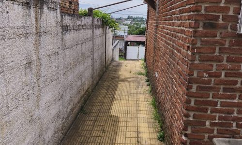 WhatsApp Image 2026-01-20 at 11.10.25