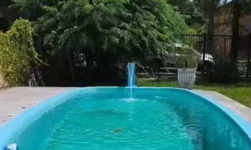 WhatsApp Image 2026-01-20 at 19.40.59