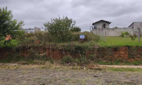 WhatsApp Image 2026-03-13 at 21.39.36 (1)