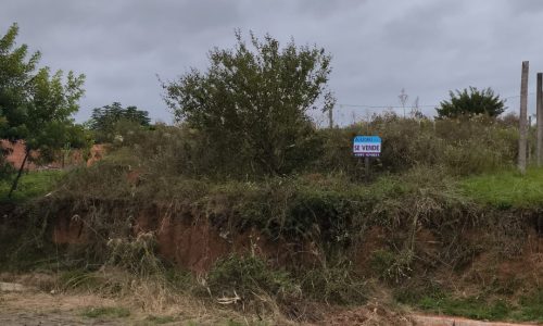 WhatsApp Image 2026-03-13 at 21.39.36