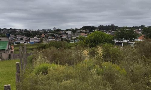 WhatsApp Image 2026-03-13 at 21.39.37 (3)