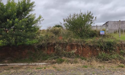 WhatsApp Image 2026-03-13 at 21.39.37