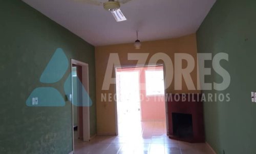 fotos y videos del celular 431