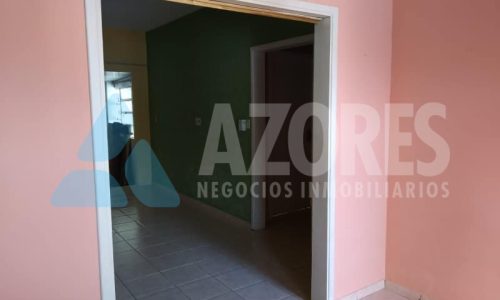 fotos y videos del celular 434