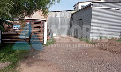 fotos y videos del celular 685